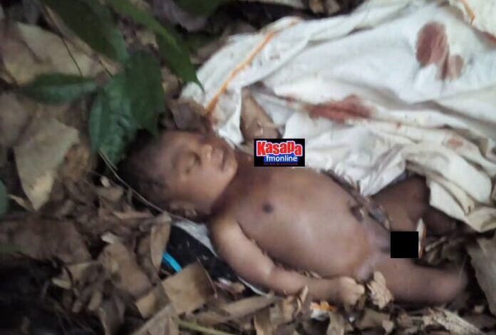 Breaking News: Girl, 19, allegedly slashes throat of new born baby, dumps body in a bush