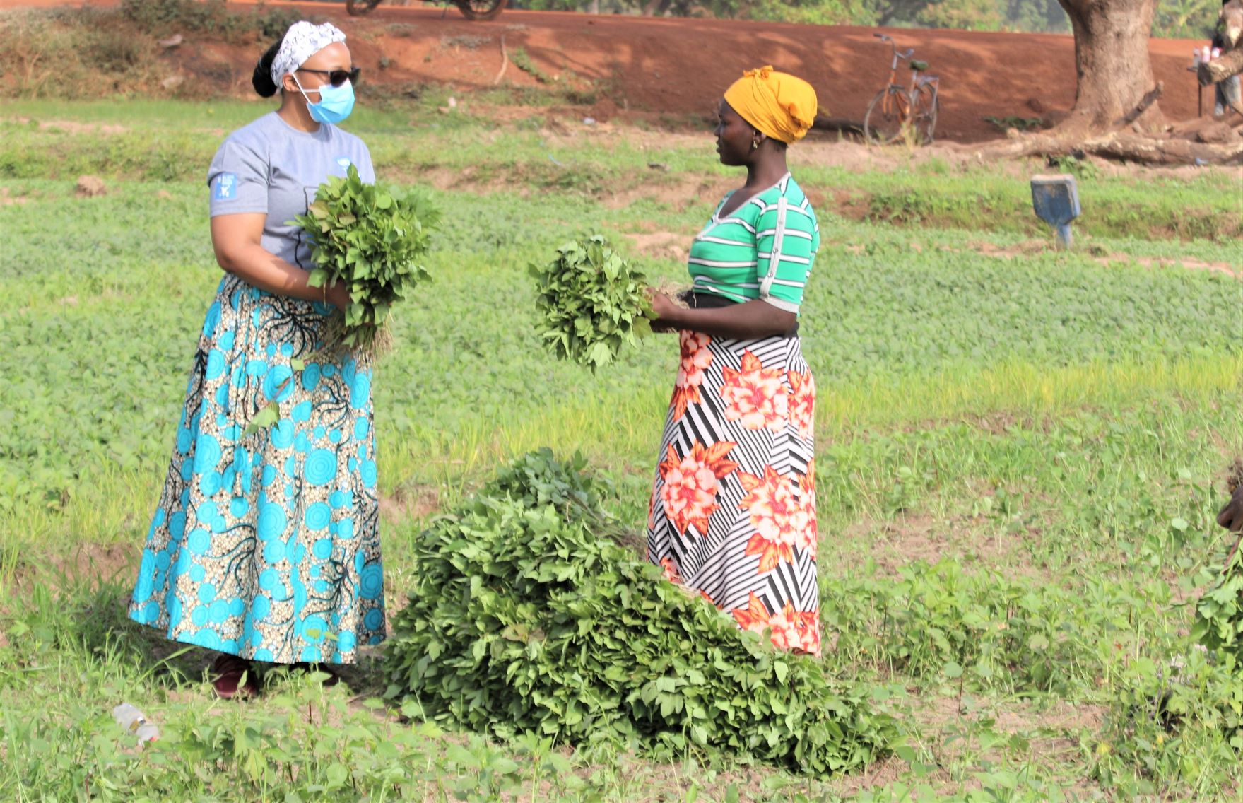 Empowering women in climate action with alternative livelihood options