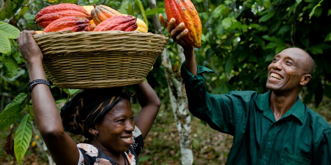Cocoa farmers ‘threaten’ government