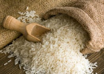 U/E: Rice farmers attribute losses to lack of combine harvesters