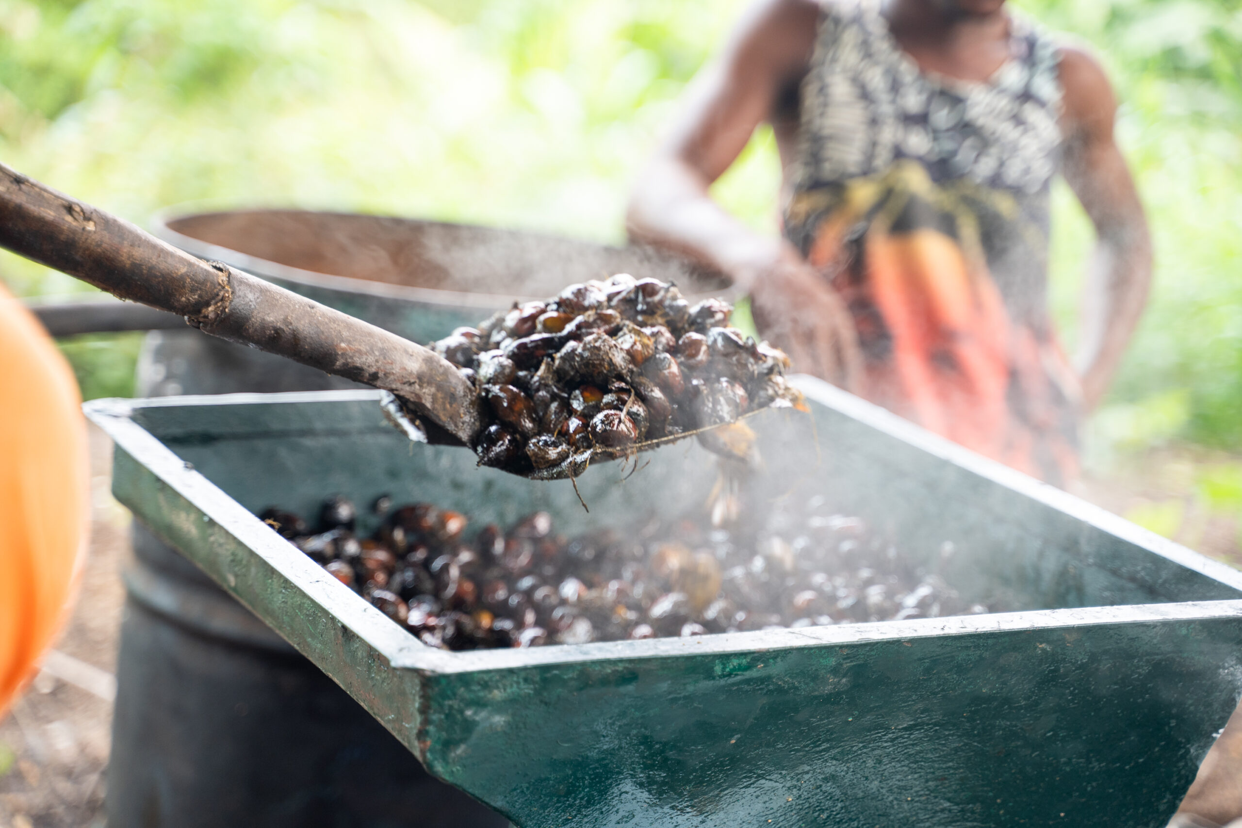 West Africa Trade & Investment Hub Partners with 8 Degrees North to Support an Alliance Giving Smallholders Access to the Growing Organic Palm Market
