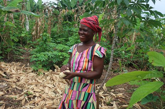 Fairtrade Africa supports climate action to protect farmer livelihoods