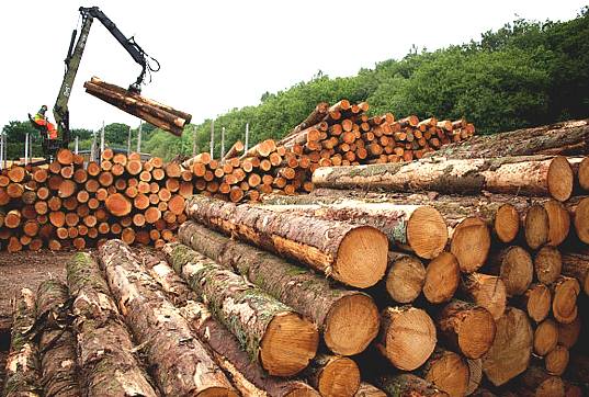 Suspending Mining in Forest Reserves a Good Move - Timber Association Hails Minister