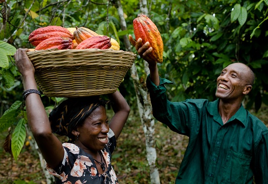 Cocoa farmers in Ghana awarded seed capital to diversify their Incomes in Climate Smart Ventures