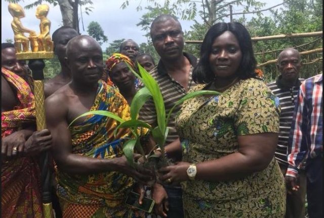 Deputy CEO of Forestry Commission Mobbed at Tree-Planting Exercise