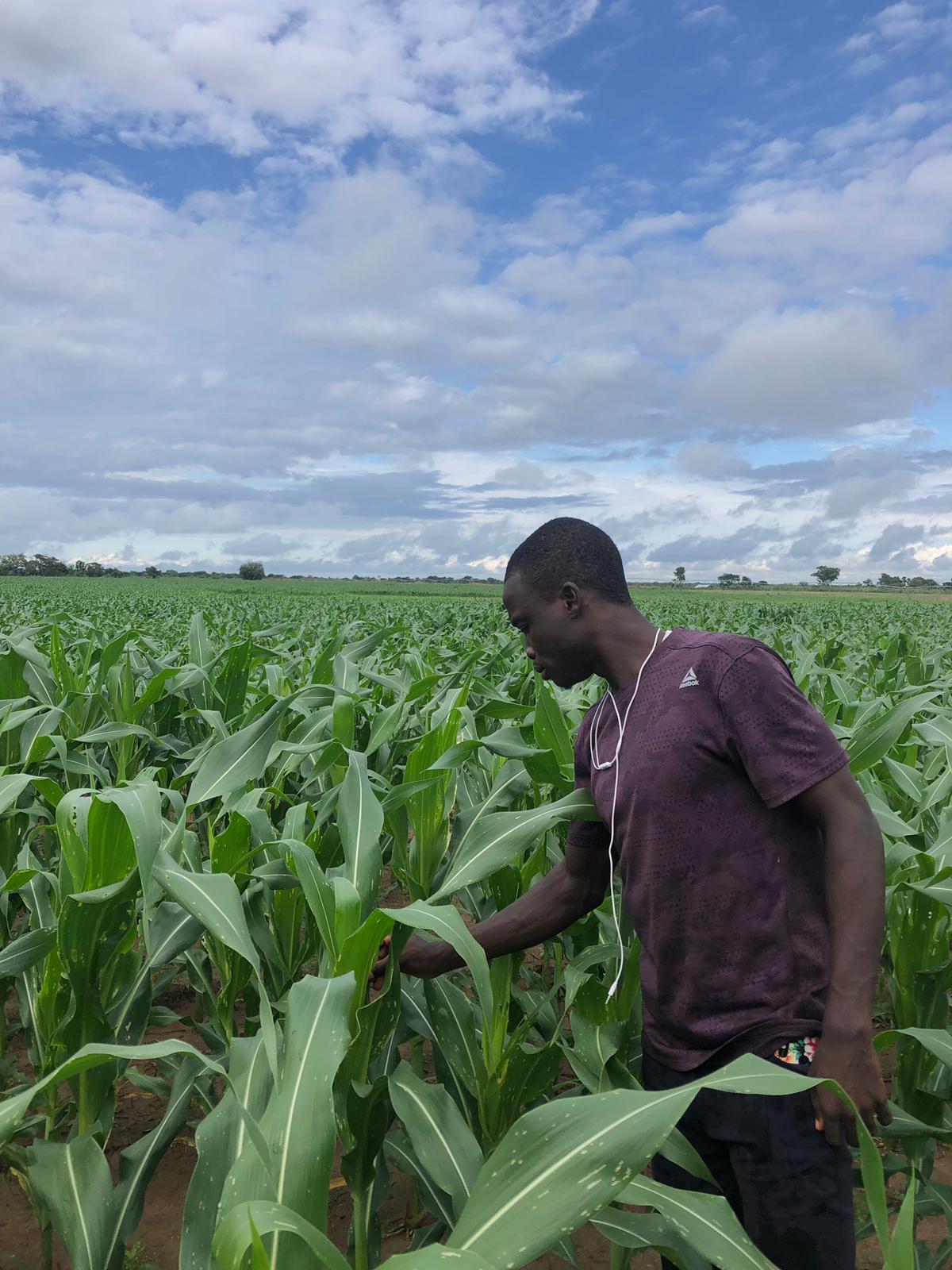 U.S. Government Investment in Ghana’s Upper West Region Tackles Poverty Among Subsistence Farmers