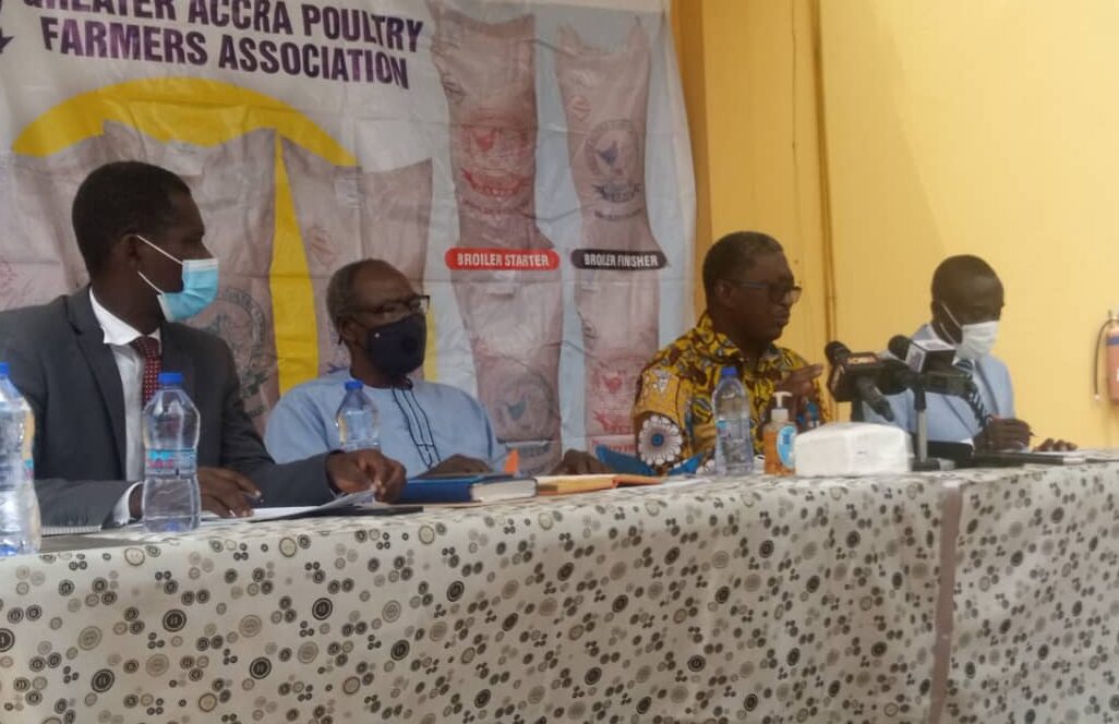 Rising cost of poultry feed affecting industry; total collapse eminent