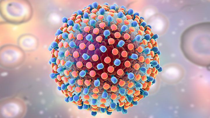 Expertise from UK university key to Hepatitis C battle in Africa