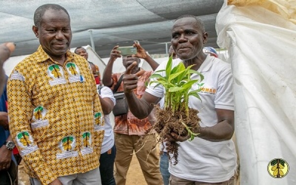 COCOBOD to hand over 51,537.85 Hectares