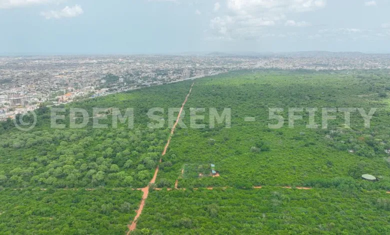 Reclaiming Achimota forest land not about money – Lawyer for Owoo family