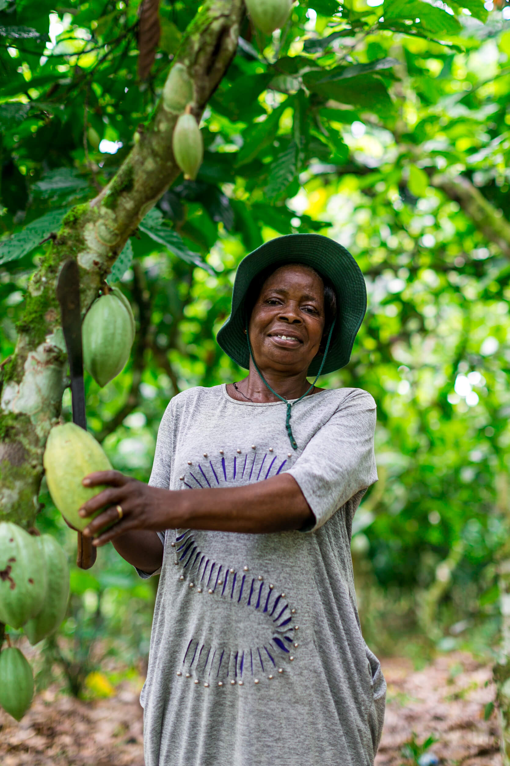 New Fairtrade report explores possibilities for accelerating progress on sustainable livelihoods for Ghanaian cocoa farmers