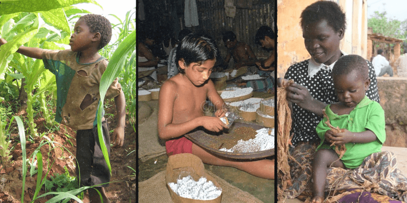 Child Labour: No Quick End to Children Trapped in Tobacco Production