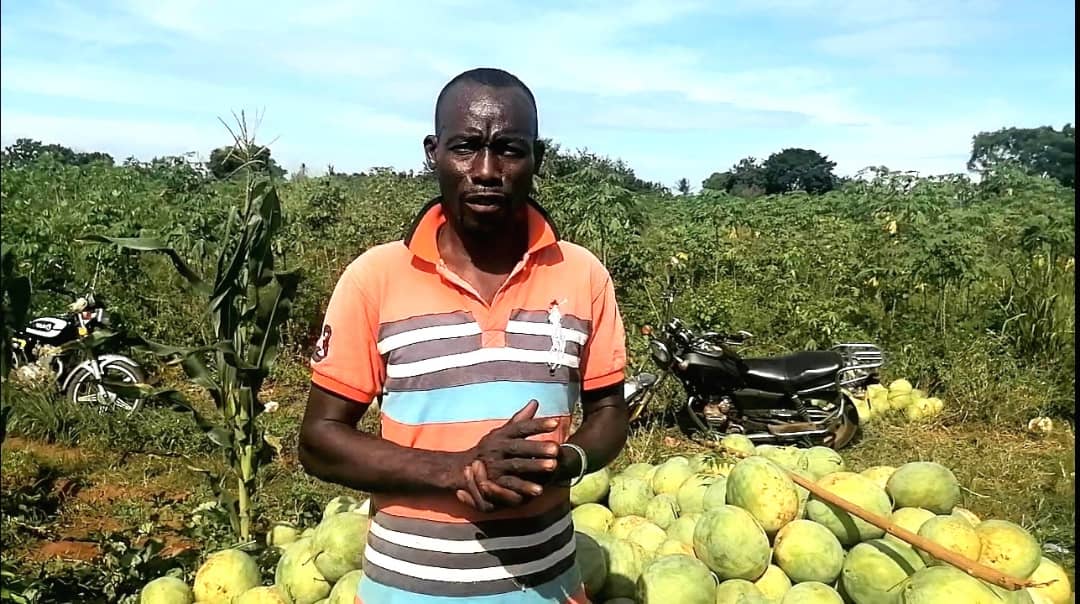 Farmer appeals for Government Support to improve Food Production and Security