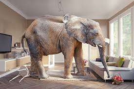 Elephant in the room: The ETHICS of a Regulator joining an Operator