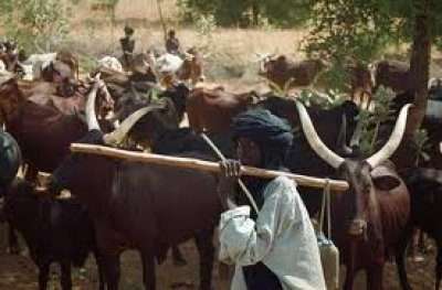 Movement of Fulani Herdsmen from Sahara into Ghana poses security threat – Dr Musah Barry