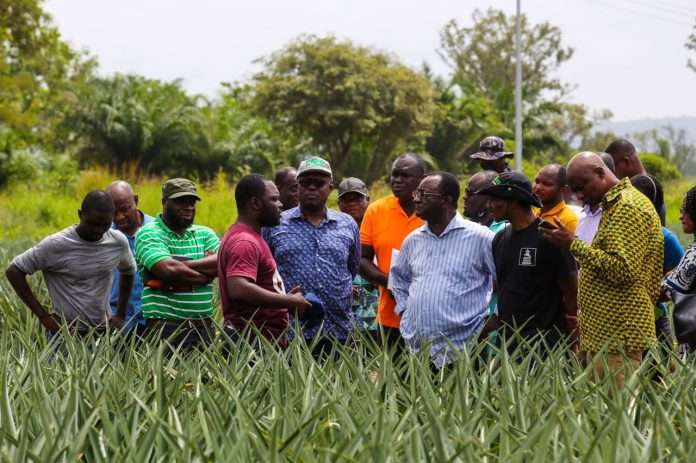 Agric Minister Lauds Farmers In Volta Region