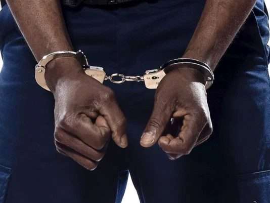 Police arrest 12 over carjacking, robbery, murder