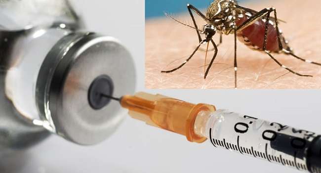 The New Anti-Malaria Vaccine Is Okay, But What About Anti-Mosquito Measures?