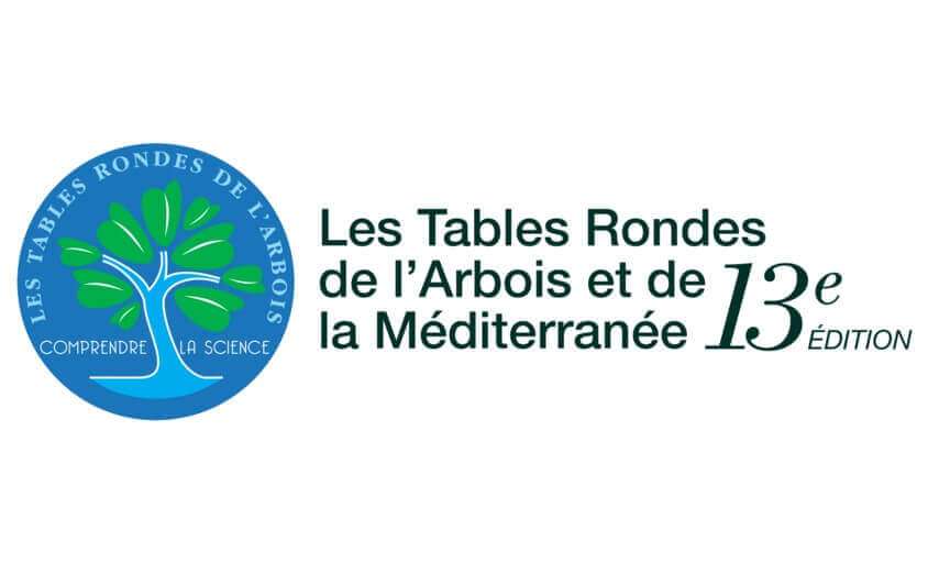 The Future of the Green Hydrogen Sector in Africa at the Heart of the 13th Edition of the Arbois and Mediterranean Round Tables