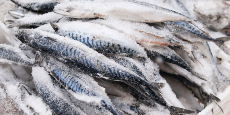 Ghana laments unsustainable business environment as Fish Levy increases by 1,573%