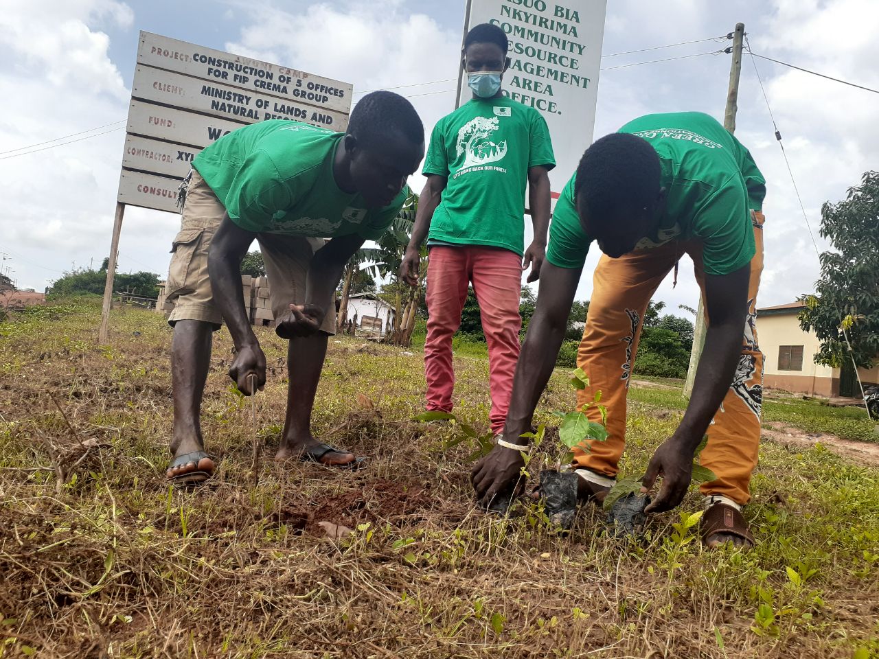 Green Ghana Programme in Danger as Youth in Afforestation threaten Boycott