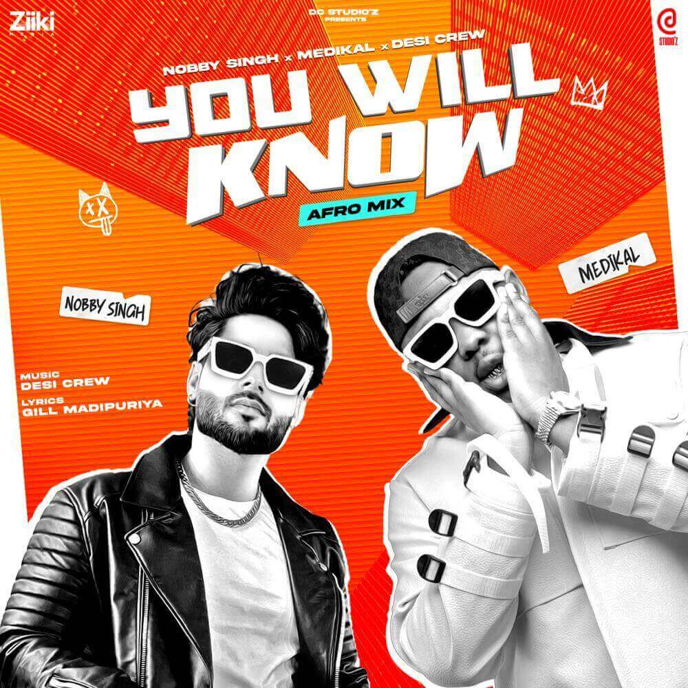 Nobby Singh features Medikal on "you will know" afromix