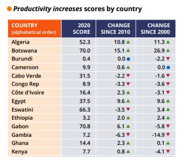 Ghana’s productivity score inch up to 14.4; below African average of 27.2