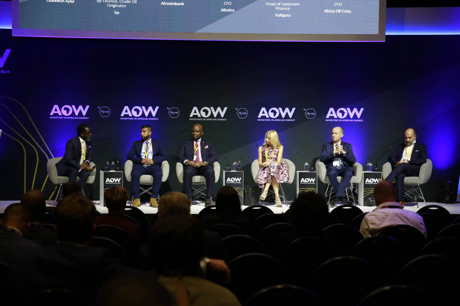 AOW: African banks step in to provide finance as continent’s energy sector shifts