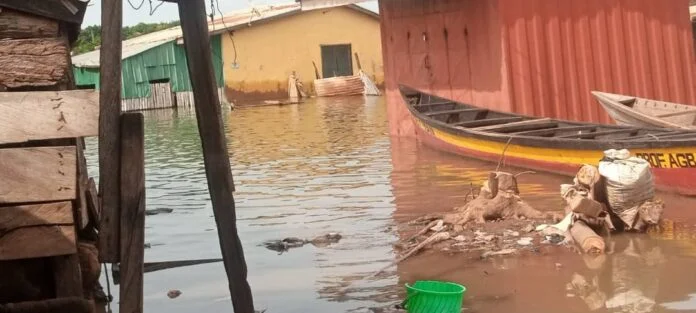 Flood: The stench from the water is getting worrisome; we have to act swiftly – NADMO