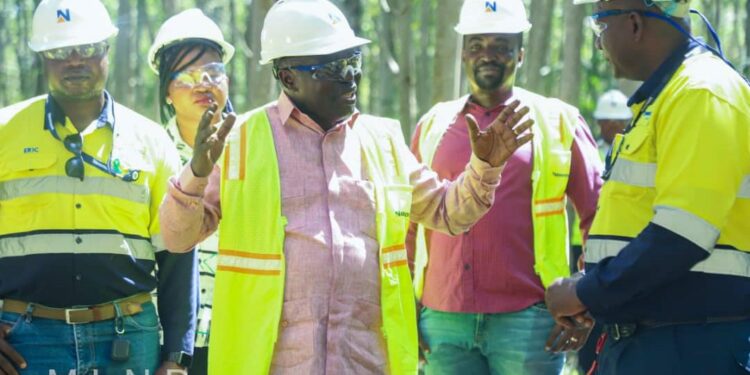 Deputy Lands Minister urges mining companies to restore exploited lands, forest