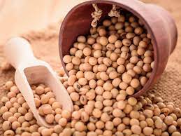 Export restrictions on soybeans threaten the industry’s survival
