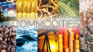 AfCFTA Guided Trade Initiative launches Association of Commodity Exchanges for continent-wide economic impact”