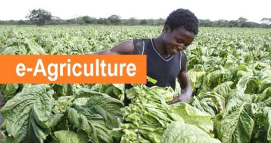 South Sudan launches digital agriculture platforms