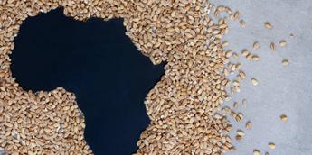 Russia woos Africa with free grain, fertilizer research funding