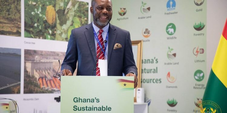 COP28: Energy Minister woos investors to finance Ghana’s $550bn energy transition