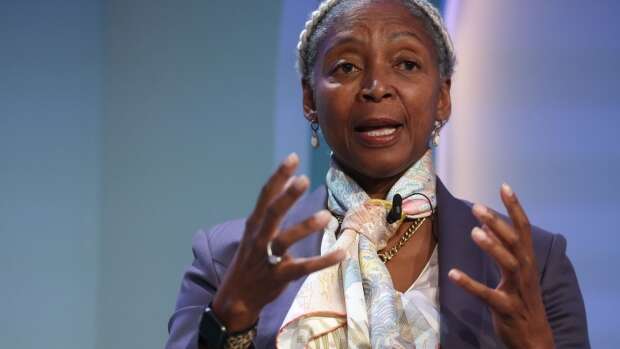 Debt crisis is top risk for Africa, Standard Bank Chair says