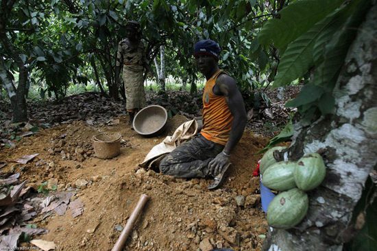 1 in every 10 cocoa farmers approached by galamseyers to sell their lands for illegal mining