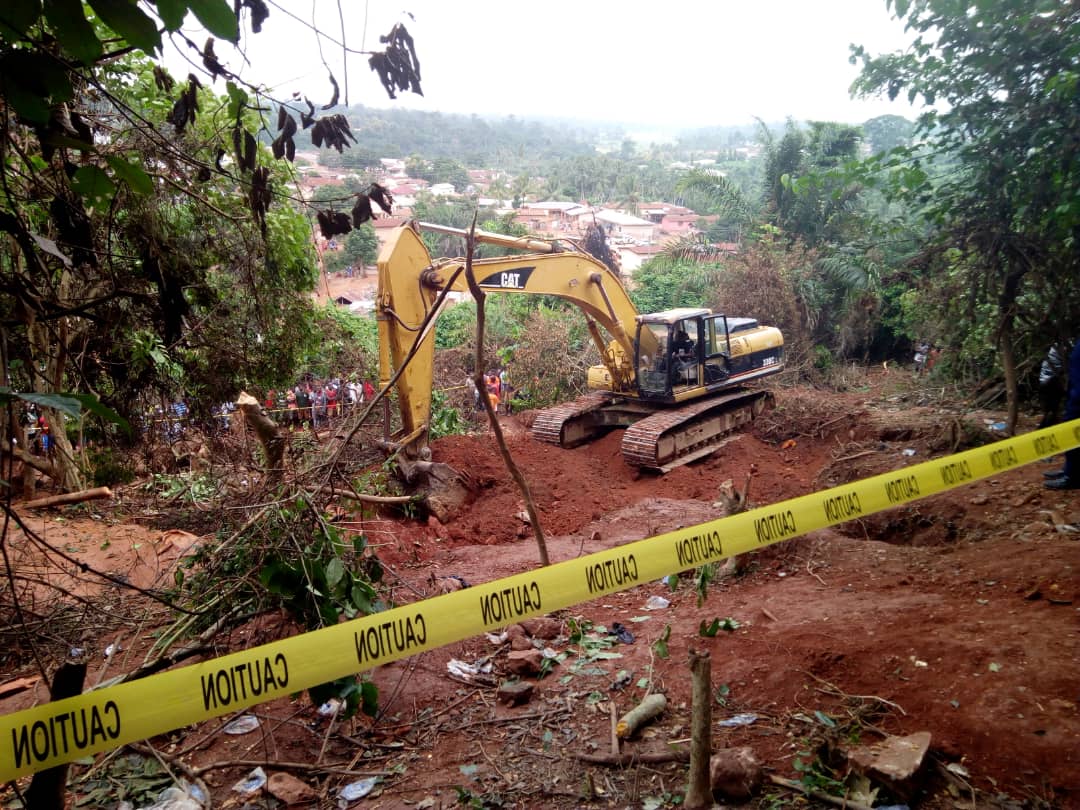 Forestry Commission: Three staff killed by suspected illegal miners in 2023