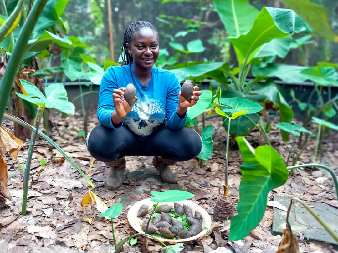 Young Ghanaian farmer takes it slow