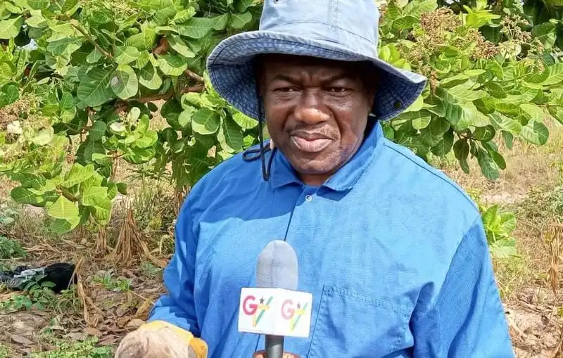 Government must provide fire insurance for large scale farms – Kofi Dzamesi