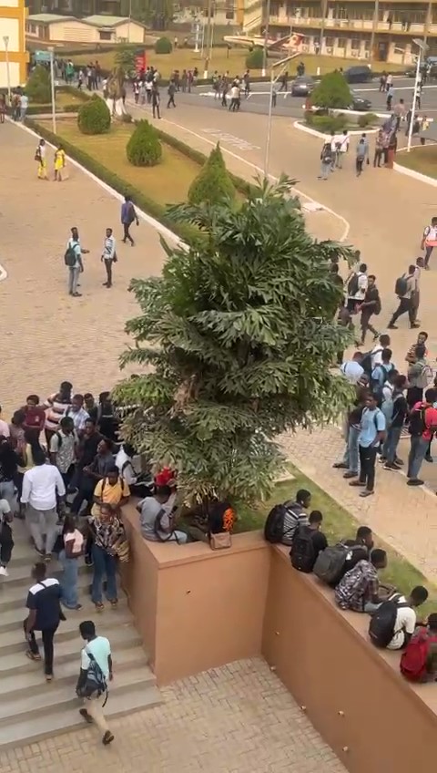 Stranded students, filthy campus – universities strike begins to bite
