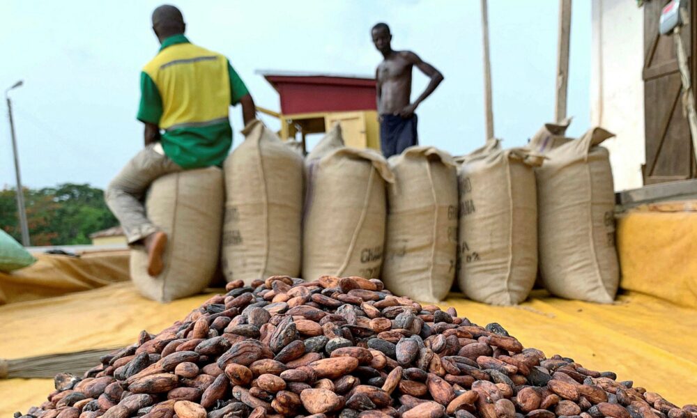 Cocoa’s Contribution To Ghana’s Export Earnings Drops By $200million