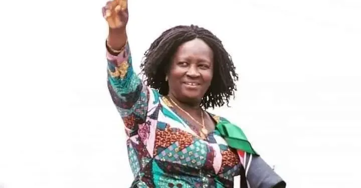 NDC: Be ready to be President if Mahama… – Kwesi Ahwoi tells Prof. Jane Naana