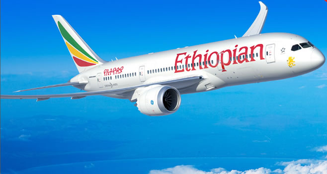 5 largest airlines in Africa by fleet size in 2024