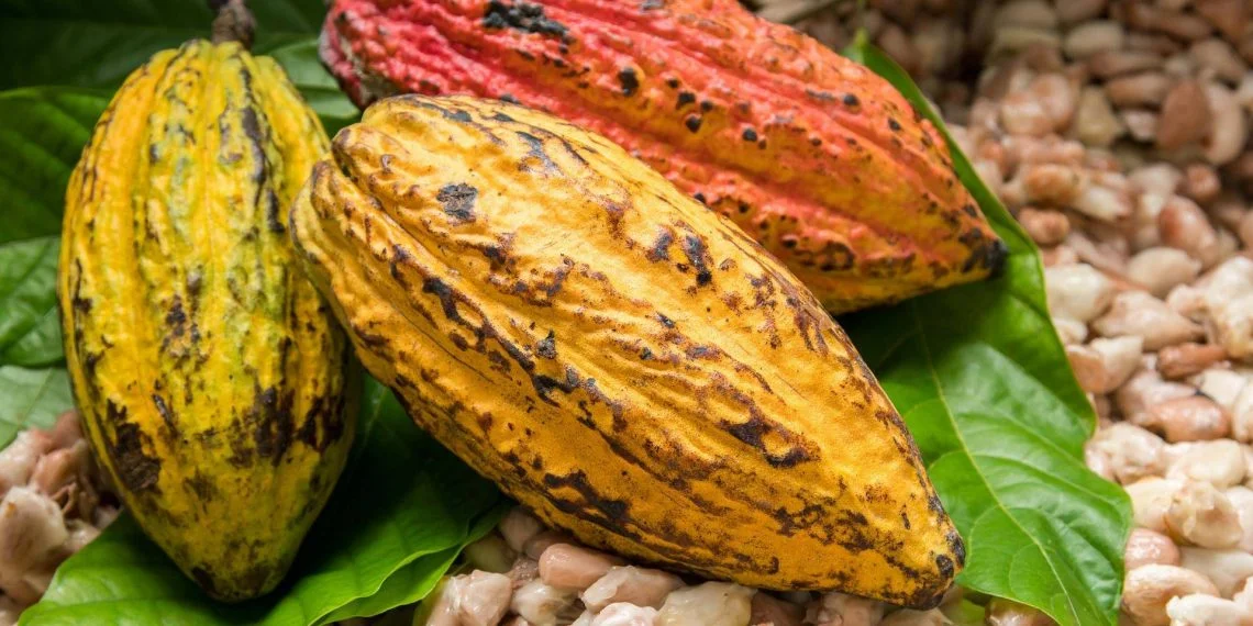 Cocoa Prices Surge Amid Production Woes in Major Producers Côte d’Ivoire and Ghana
