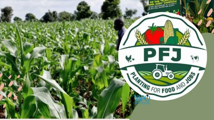 PFJ 2: Tano South Agric Directorate to register 6,000 farmers for the program