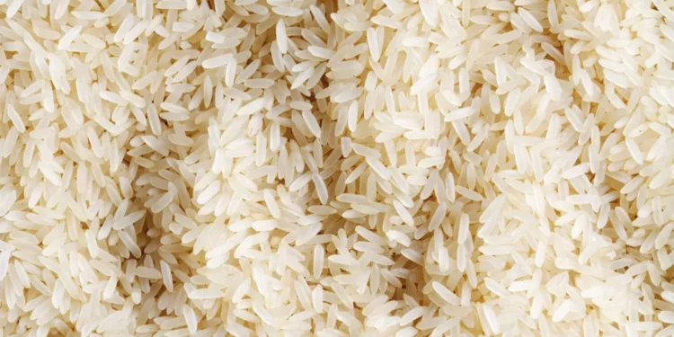 Ghanaians love rice – how smallholder farmers could harvest more of it with the help of machines