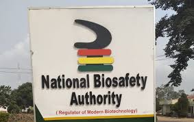 Court upholds National Biosafety Authority’s decision on 14 GMO crops