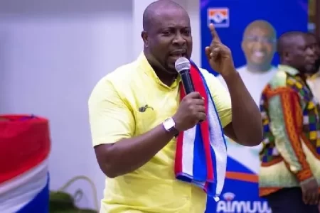 NPP Youth Wing Calls Democracy Hub Protesters Hooligans