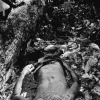 70 year Old Man Strike To Death By A Tree During Yesterday Heavy Downpour